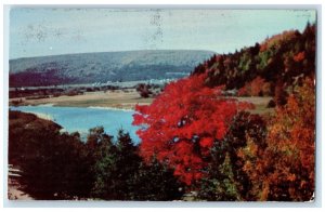 c1950's Bird's Eye View Of Margaree River Cape Breton Canada Vintage Postcard