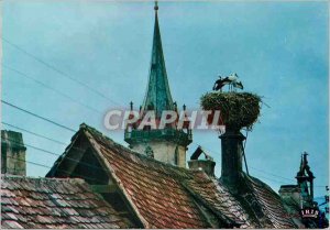 Postcard Modern nest Storks in Obernai Alsace Picturesque