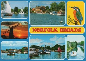 Norfolk Postcard- Views of The Norfolk Broads, Horning, Stokesby, Wroxham RR8500