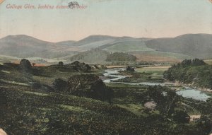 COLLEGE GLEN , LOOKING DOWN ON WOOLER, Northumberland - Vintage POSTCARD