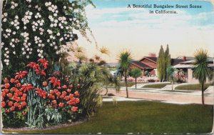 A Beautiful Bungalow Street Scene In California Vintage Postcard C144