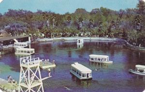 Florida Silver Springs Boat Docks