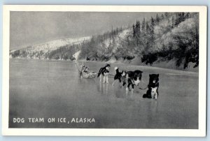 Alaska AK Postcard Dog Team On Ice And Sled Trees Scenic View c1960's Antique