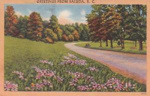 South Carolina Greetings From Saluda 1957