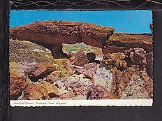 Petrified Logs,Petrified Forest,AZ Postcard BIN 