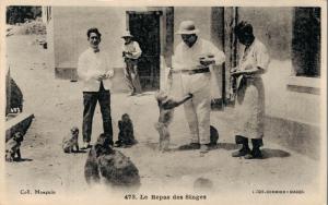 Algeria Blida Coll Mauguin Le Repas des Singes 02.89