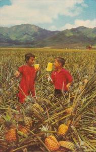 Hawaii Native Children Tasting Del Monte Pineapples 1967