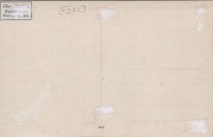 Germany Worms Totalansicht Vintage RPPC C048