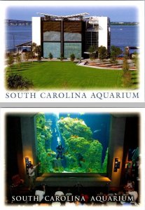 2~4X6 Postcards SC Charleston Harbor SOUTH CAROLINA AQUARIUM & OCEAN TANK~DIVERS