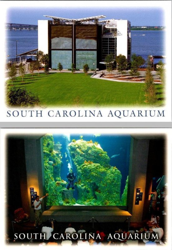 2~4X6 Postcards SC Charleston Harbor SOUTH CAROLINA AQUARIUM & OCEAN TANK~DIVERS