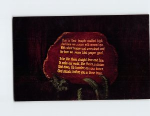 Postcard Plaque in honor of Joseph B. Strauss, Trees Of Mystery, Klamath, CA