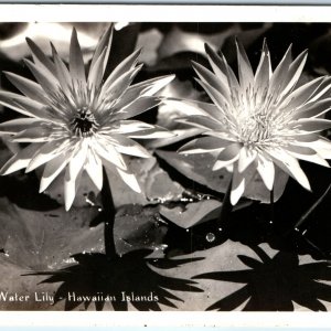 c1910s HI Hawaiian Islands Water Lily RPPC Nature Flower Real Photo KH Ltd A282