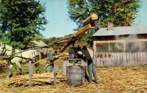 Scene Showing The Making Of Sorghum Molasses