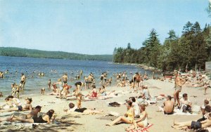 Dover-Foxcroft ME Sebec Lake Beach Swimming Postcard