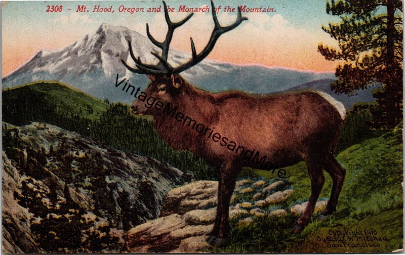 Mt. Hood Oregon and the Monarch of the Mountain Postcard PC323