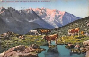 Switzerland Old Vintage Antique Post Card Paturages dans les Alpes Mont Blanc...