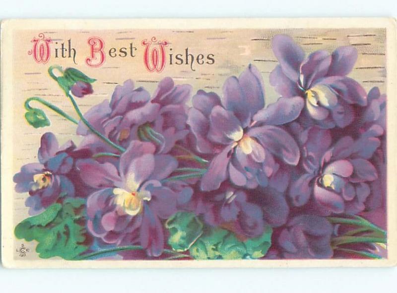 Divided-Back BEAUTIFUL FLOWERS SCENE Great Postcard AA2517