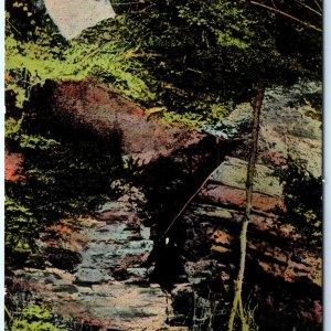 c1910s Burlington, IA Starrs Cave Stairs Rock Wall Stone Nature Postcard A119