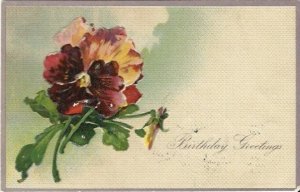 Bouquet of Red Pansies Birthday Greeting Card Red Pansy Vintage Postcard - 1903
