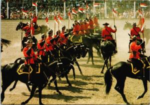 RCMP Musical Ride Mounties Canadian Police Horses c1977 Postcard D56