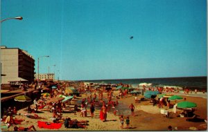 Beach View Bathers Umbrellas Rehoboth Beach Delaware DE UNP Chrome Postcard A8