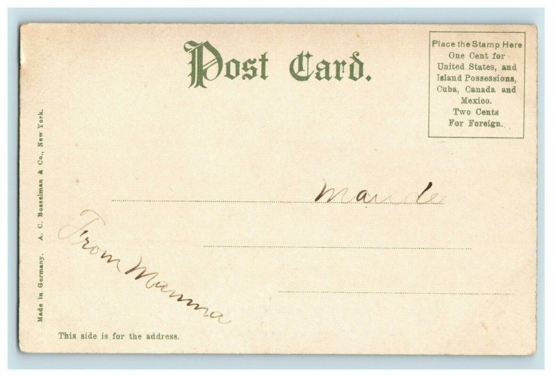 Circa 1900-05 Elevator B, Looking Down River, Toledo, Ohio Vintage Postcard P11