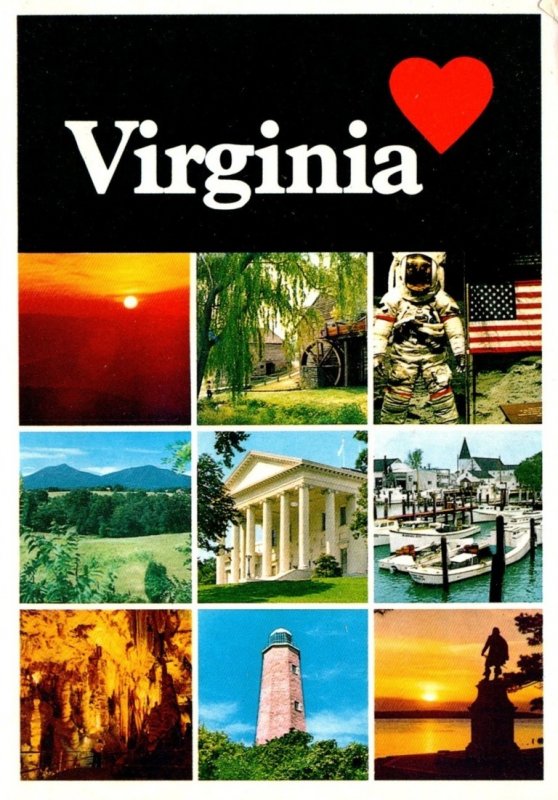 Virginia Is For Lovers Multi View