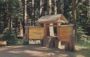 Canada MacMillan Park Vancouver Island British Columbia