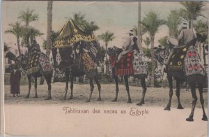 Postcard Caravan Egypt People Riding on Camels