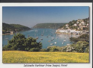 Devon Postcard - Salcombe Harbour From Snapes Point    LC6176