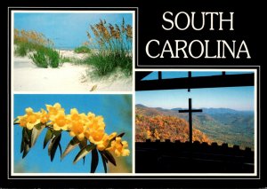 South Carolina Greetings Multi View State Flower Yellow Jasmine and More 1982