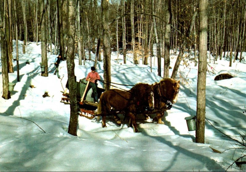 Vermont Maple Sugar Time