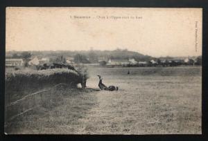 Mint Saumur France Real Picture Postcard Cavalry School fall at the open ditch