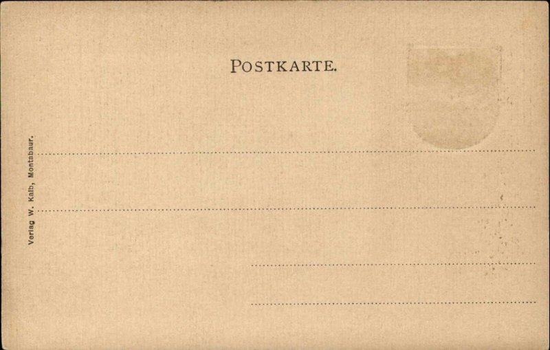 Montabaur Germany Konigl Leberseminar c1900 Vintage Postcard