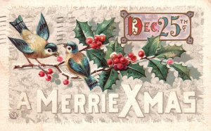 Vintage Postcard 1911 Merry Christmas December 25th Birds Twig Leaves Greetings