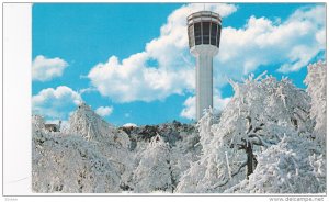 Queen Victoria Park in Winter,  with the Seagram Tower in background,  Niagar...