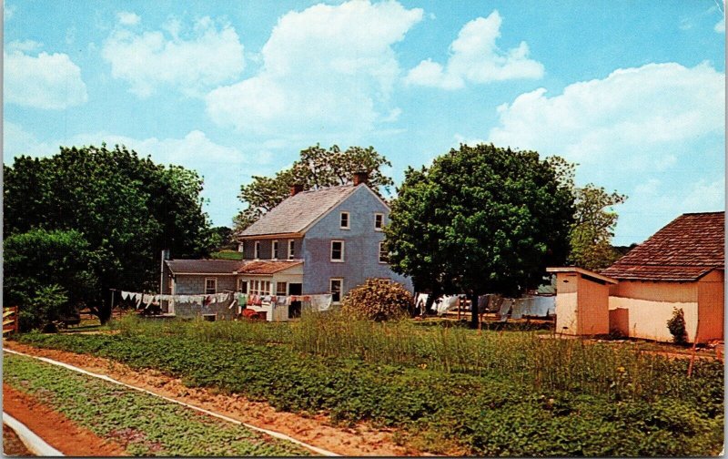 Scenic Amish Homestead US Route 30 Lancaster Pennsylvania PA Postcard VTG UNP 