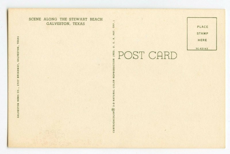 Postcard Stewart Beach Galveston Texas Standard View Card 