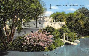 Greenville Pennsylvania 1940s Postcard Sea Base Riverside Park