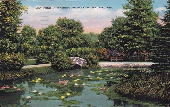 Wisconsin Lily Pond In Washington Park 1944