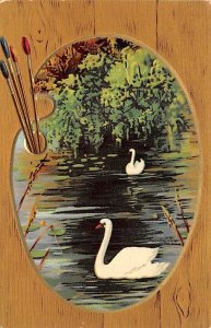 Artist Palette Swan View Postcard Backing 