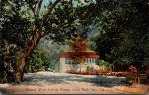 California San Jose Alum Rock Park Mineral Water Springs Plunge 1910