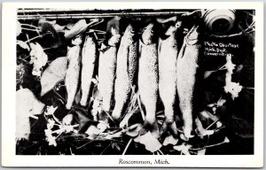 Hanged Fish Roscommon Michigan MI Postcard