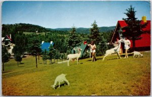 VINTAGE POSTCARD THE SANTA CLAUS VILLAGE NORTH OF MONTREAL CANADA POSTED 1958