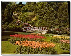 Old Postcard Insel Mainau im Bodensee Ufergarten put Rhododendrontreppe