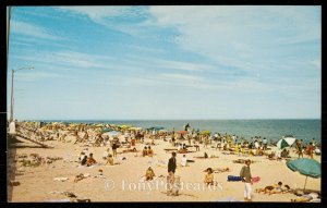 Greetings from Rehoboth Beach