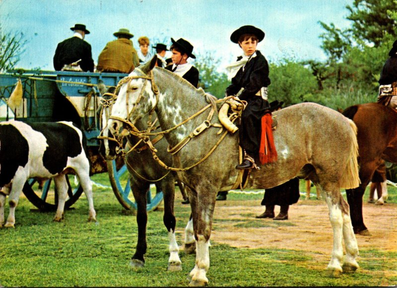 Argentina Horses and Young Gauchos