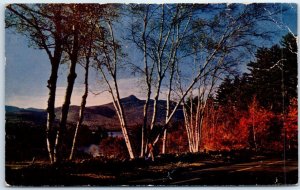 Postcard - Chocorua Lake and Mountain, Chocorua, New Hampshire, USA