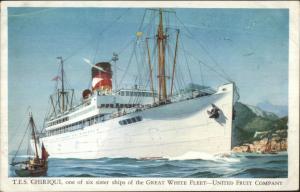 United Fruit Co Steamship Great White Fleet Postcard TES CHIRIQUI