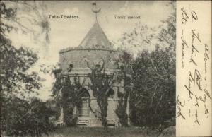 Hungary - Tata Tovaros - Torok Mecset c1905 Used Postcard